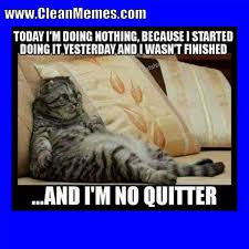 Can we reach 20k on part 2! Funny Cat Memes Clean For Kids Page 1 Line 17qq Com