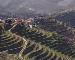 winemakers in Douro Valley