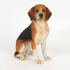 Best Of Breed Collection Beagle