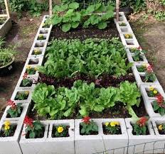 50 vegetable garden ideas to grow your