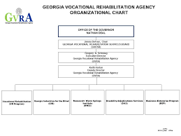 Georgia Vocational Rehabilitation Agency Organizational