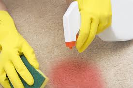 7 easy homemade carpet stain removers