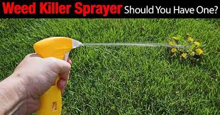 weed sprayer should you have one
