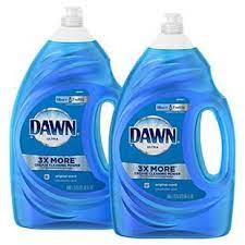 dawn dish soap for fleas easy step by