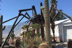 unusual things to do in palm springs