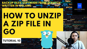 zip file in go backup files software