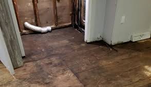 Basement Humidity Potential Damages