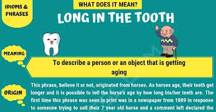 long in the tooth meaning
