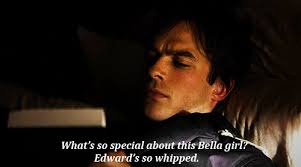 Vampires can't procreate, but we love to try. What Are Some Awesome Lines From The Vampire Diaries Quora