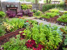 Vegetable Gardens Growing Edibles