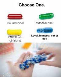 Pills : r/dankmemes