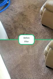 carpet cleaning south houston