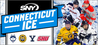 Sny Connecticut Ice Collegiate Hockey Tournament Webster