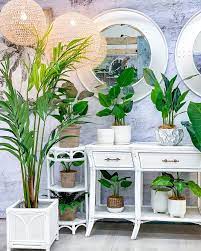 pin on indoor jungle home decor
