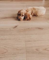 loft natural oak laminate flooring