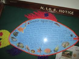 Display Charts Of Visit To Aquarium Don Bosco High School