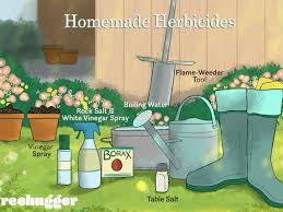 homemade herbicides to kill weeds naturally