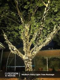 Outdoor Led Commercial Fairy Lights