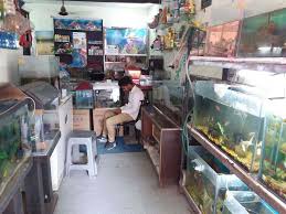 At petsmart, we never sell dogs or cats. World Fish Aquarium Uttam Nagar Pet Shops For Dog In Delhi Justdial
