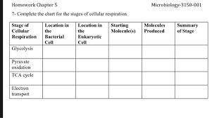 Solved Homework Chapter 5 Microbiology 3150 001 7 Comple