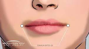 the piercing dictionary lip