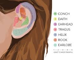 ear piercing guide where to how for