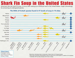 Shrk Shark Soup Chart 450 Lw Dutch Shark Society