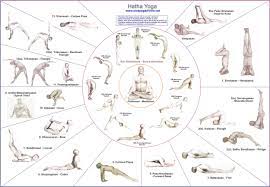 yoga chart
