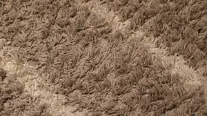 clean wool carpeting after water damage