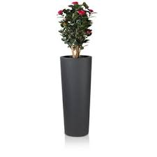 Get inspired by our extensive collection and turn your house into a green home. Plastic Planter Large Charcoal Grey
