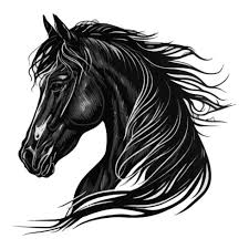 horse clipart images ilrations