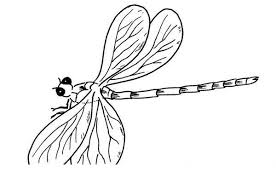 Search through 623,989 free printable colorings at getcolorings. Dragonfly Coloring Pages Kizi Coloring Pages