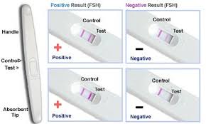 Check spelling or type a new query. Prega News Pregnancy Test Kit Negative Means Pregnancy Test Kit