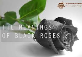 While lilies are a classic flower for sympathy, roses and carnations are beautiful additions. The Meaning Of Black Roses Most Updated Rose Color Guide