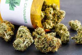 Hoboken Marijuana Dispensaries in Dispute Over Medical Cannabis Review  Board | Hoboken, NJ News TAPinto