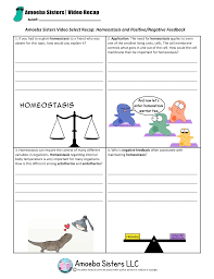 Looking for a list of our biology topic videos? Amoeba Sisters Genetics Worksheets Printable Worksheets And Activities For Teachers Parents Tutors And Homeschool Families