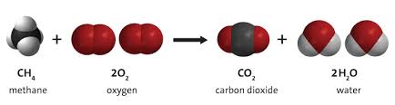 Lesson 6 1 What Is A Chemical Reaction