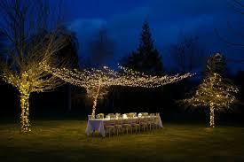 Outdoor Led Warm White Fairy Lights