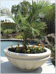 Extra Large Planters Google Search