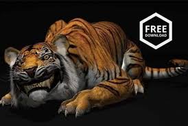 free tiger animation rig