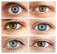 Hazel Eyes Learn Why People With Greenish Eye Color Are