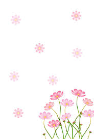 Hermosas flores de orquídea con hojas verdes aisladas en blanco. Ideas Y Material Gratis Para Fiestas Y Celebraciones Oh My Fiesta Flores Para Decoraciones 5 Arte Con Flores Prensadas Fondos De Flores Arte Con Flores