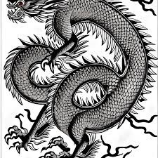 ancient chinese dragon art graphic