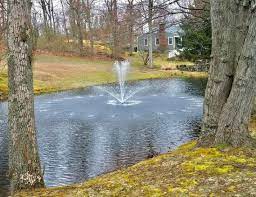 ecoseries 1 2 hp pond fountain with 200