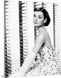 Audrey Hepburn B Wall Art Canvas