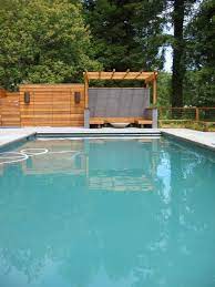 Remodel And Decor Backyard Pool
