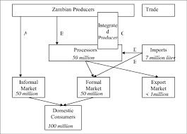 Zambia Dairy Flow Chart Annual Volumes Download