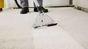 how to choose the best carpet cleaning