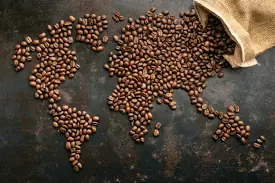 Single origin coffee: What is it and why are consumers opting for it?