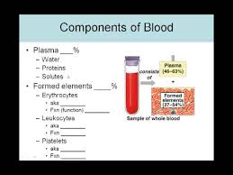 blood lecture 1 introduction and blood